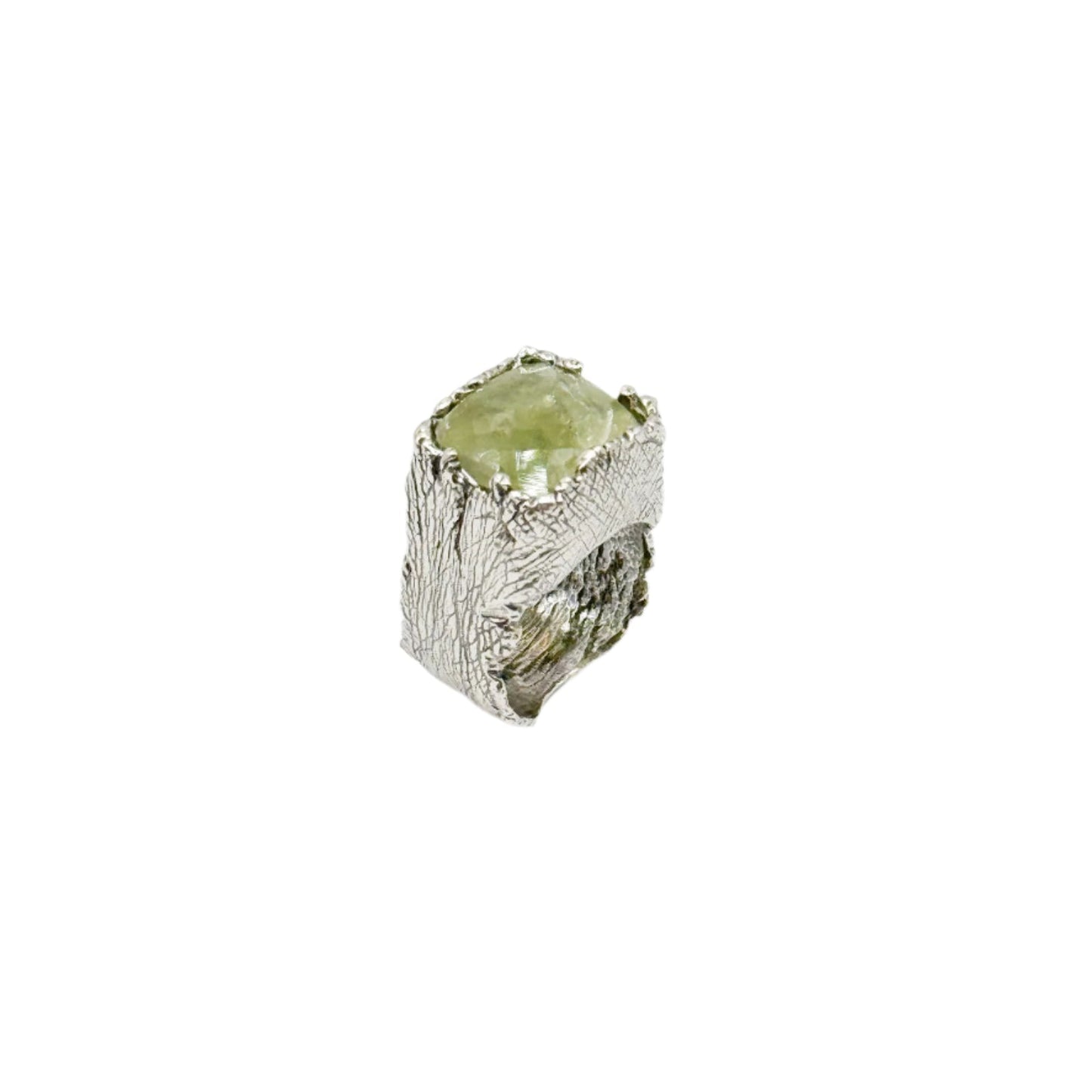 RING EARTH COLLECTION DESIGN 100