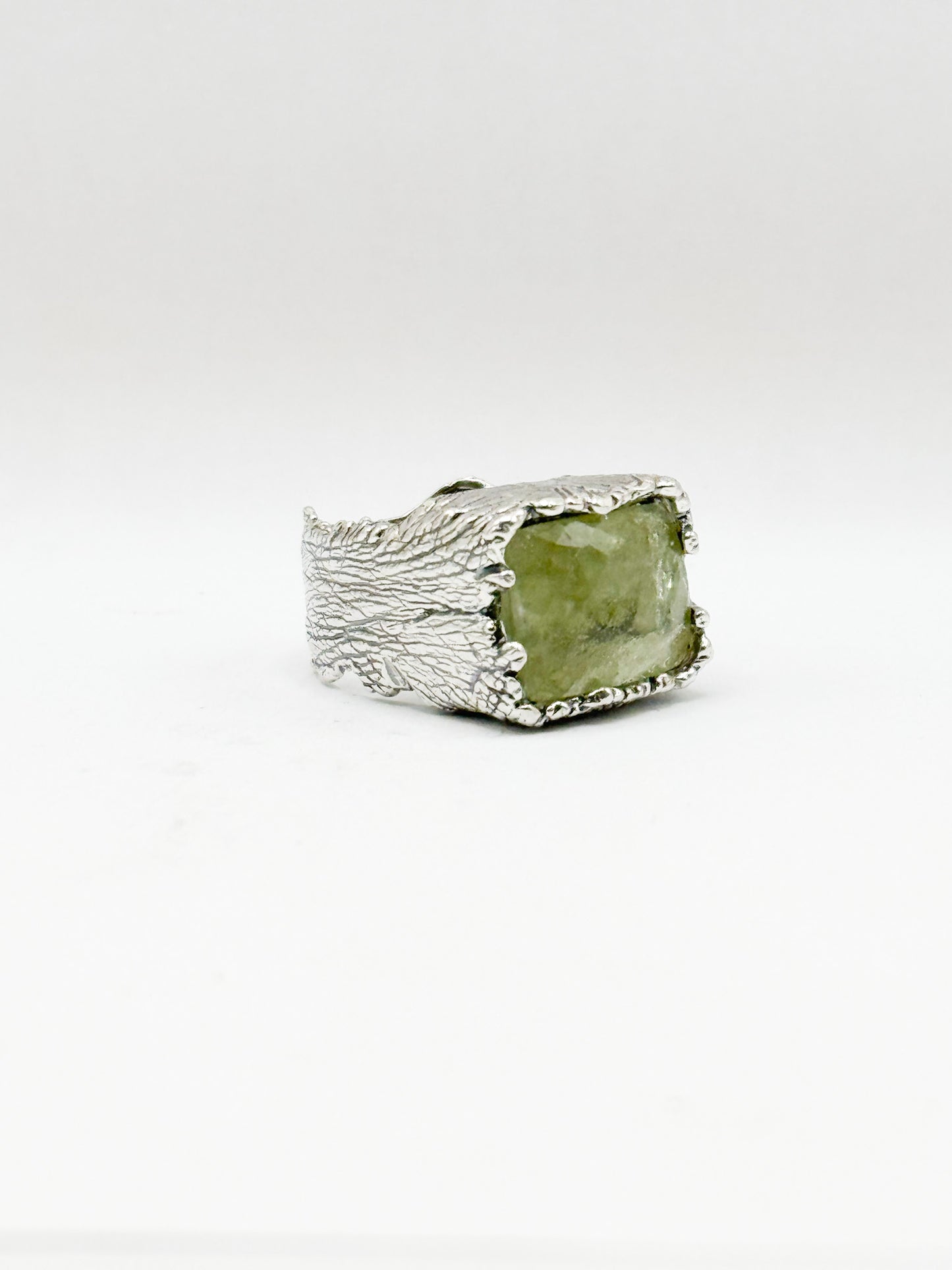 RING EARTH COLLECTION DESIGN 100