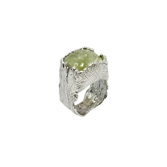 RING EARTH COLLECTION DESIGN 100